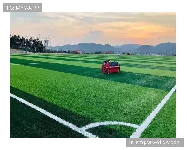 草坪场地规则拆解：标准尺寸和维护细节有哪些限制？